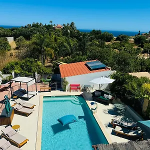 Couette-café Palm View Guesthouse, Adults Only